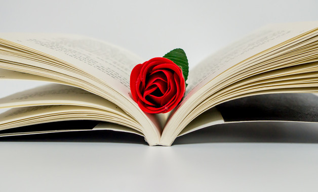 設備貿易公司經營范圍（98個范本）